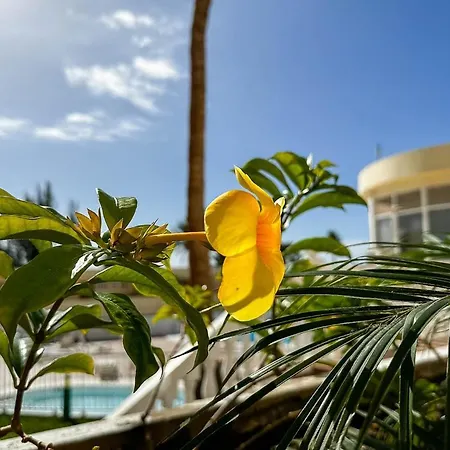 Cerca De La Playa Lägenhet Maspalomas (Gran Canaria)